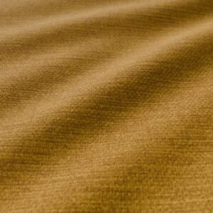 Goldgelb S-Asinara7407