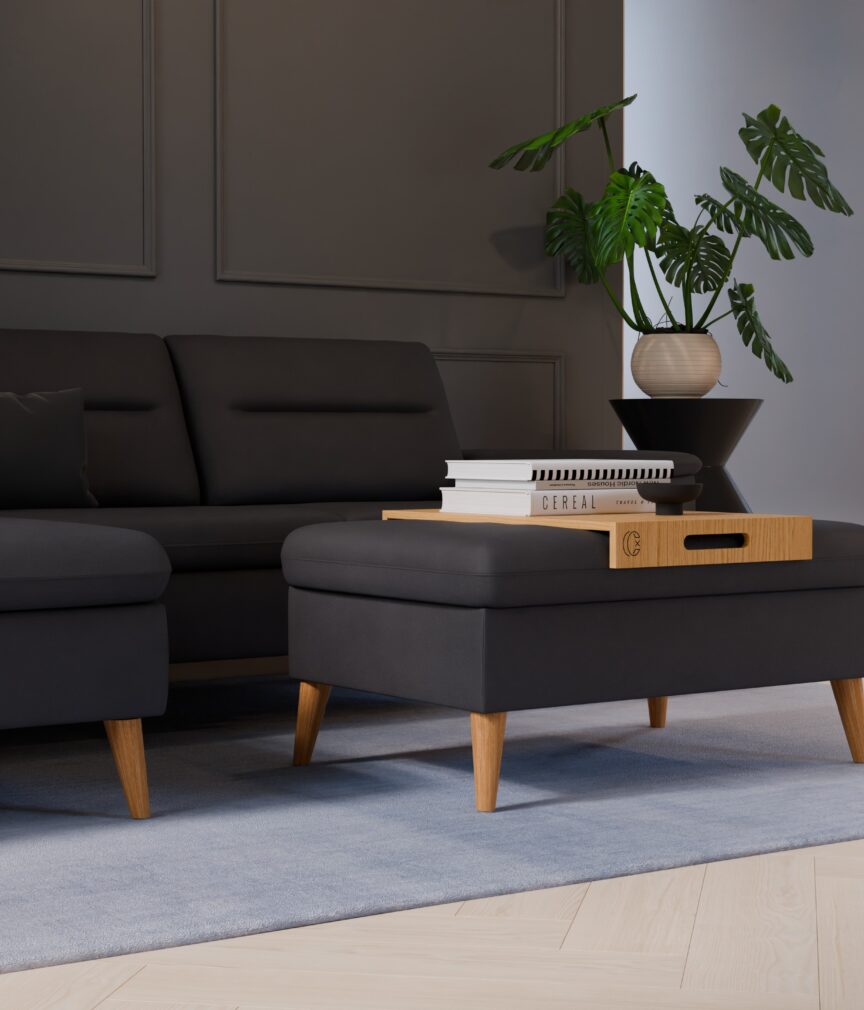Leder Helios –  L-EvitaAnthrazit  Part27  Sofa Rio  detail.jpg
