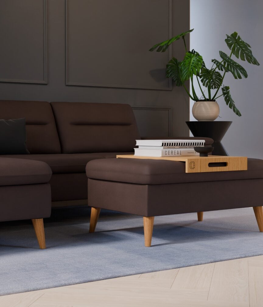 Leder Helios –  L-EvitaSchoko  Part27  Sofa Rio  detail.jpg