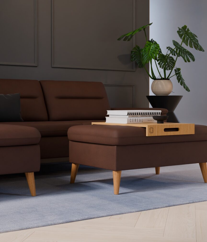 Leder Helios –  L-EvitaTabacco  Part27  Sofa Rio  detail.jpg