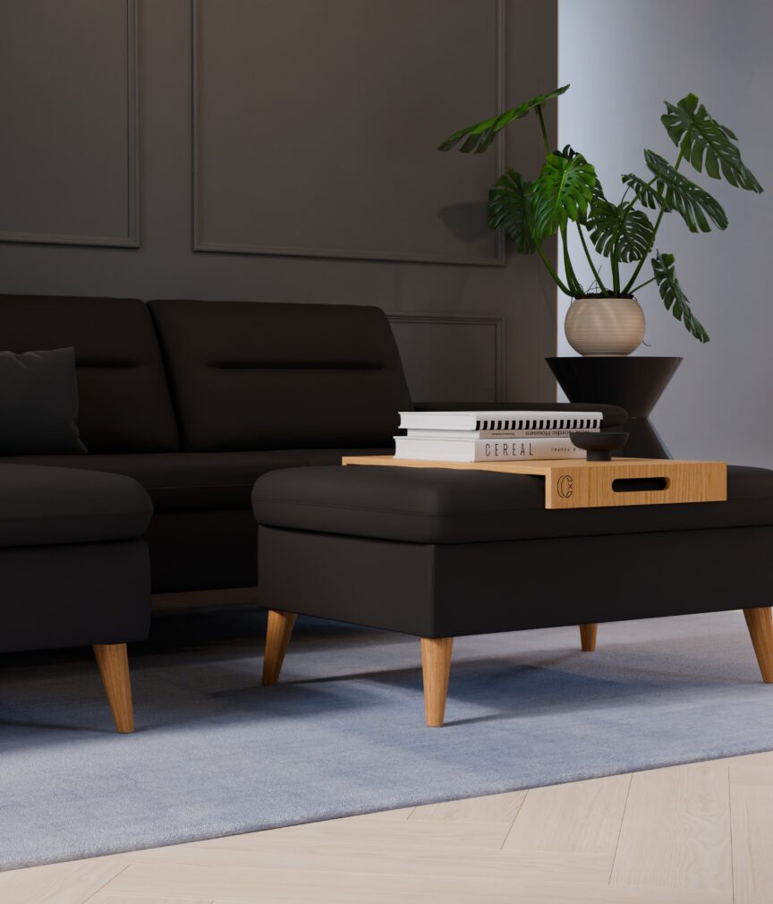 Leder Selene –  L-PunchAnthrazit  Part27  Sofa Rio  detail.jpg