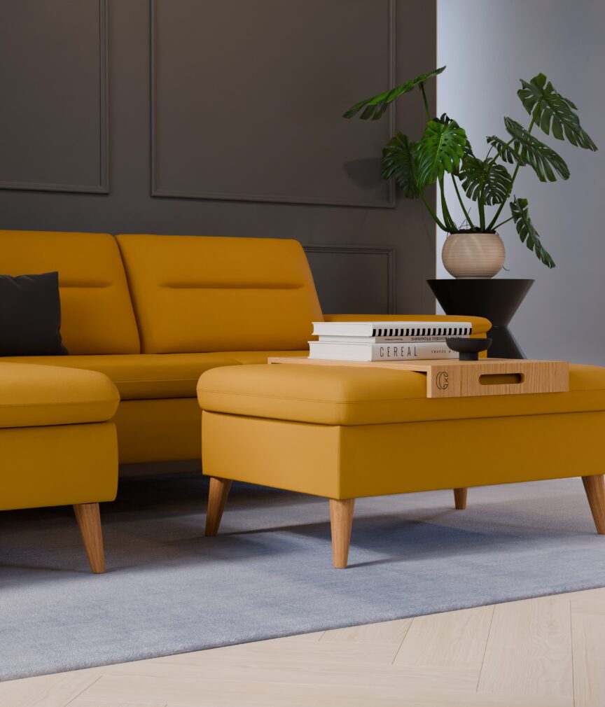 Leder Selene –  L-PunchCurry  Part27  Sofa Rio  detail.jpg