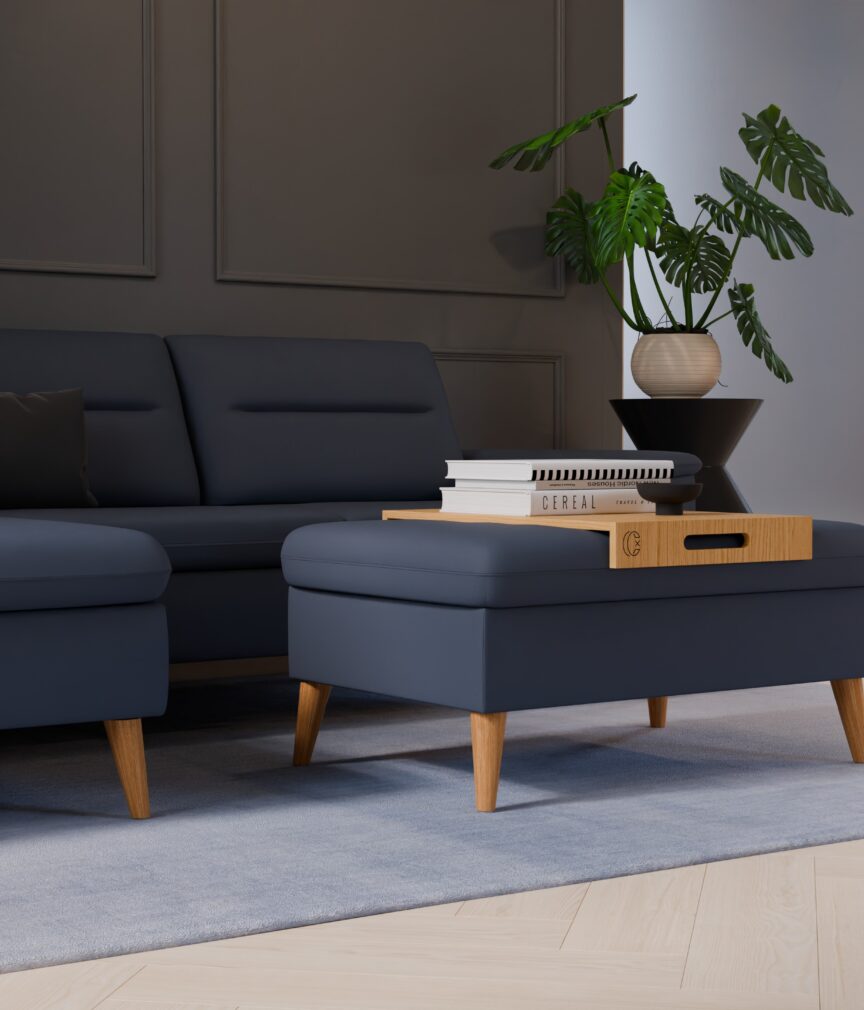 Leder Selene –  L-PunchGreyBlue  Part27  Sofa Rio  detail.jpg
