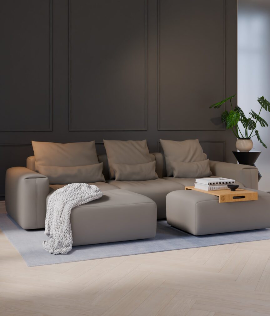 Leder Selene –  L-PunchLightGrey  Part27  Sofa Denver  overview.jpg