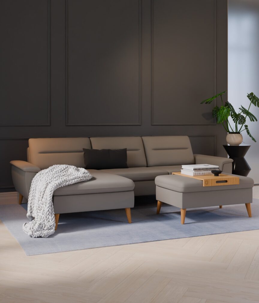 Leder Selene –  L-PunchLightGrey  Part27  Sofa Rio  overview.jpg