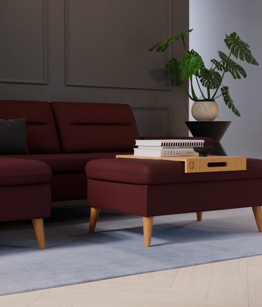 Leder Selene –  L-PunchMerlot  Part27  Sofa Rio  detail.jpg