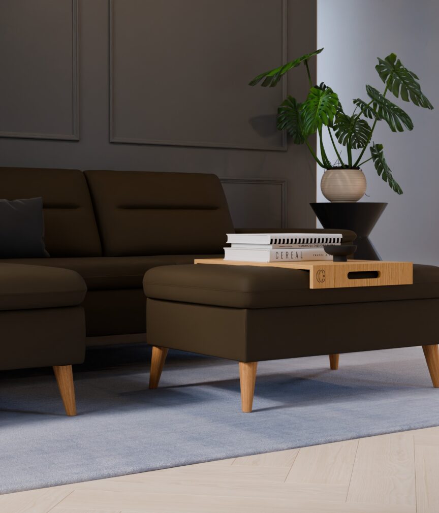 Leder Selene –  L-PunchOlive  Part27  Sofa Rio  detail.jpg