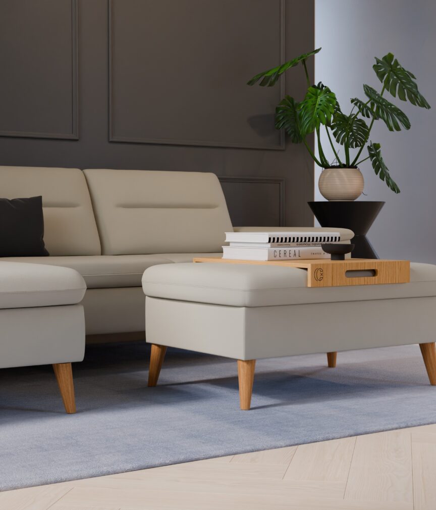 Leder Selene –  L-PunchReinweiss  Part27  Sofa Rio  detail.jpg