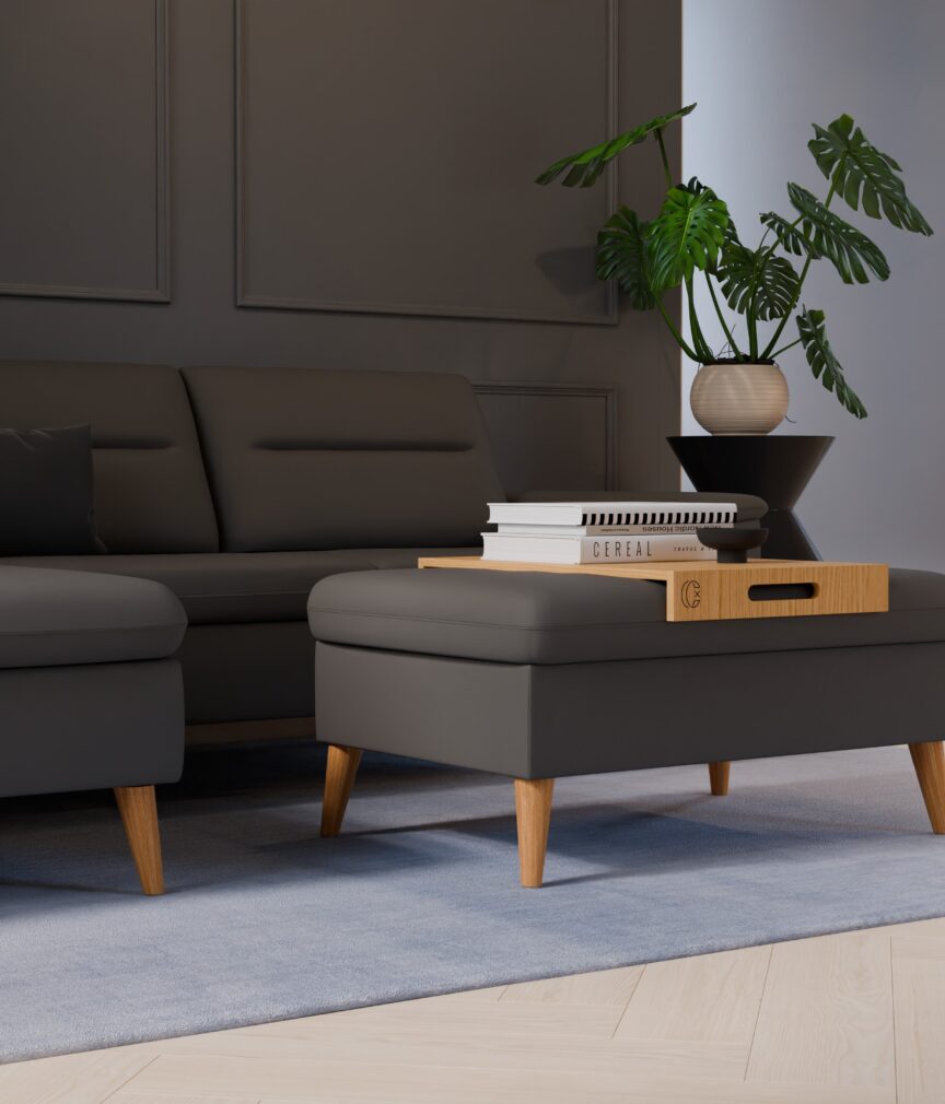 Leder Selene –  L-PunchSteingrau  Part27  Sofa Rio  detail.jpg
