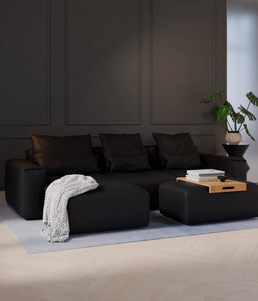 Vegan Leder –  S-Monet4500  Part27  Sofa Denver  overview.jpg