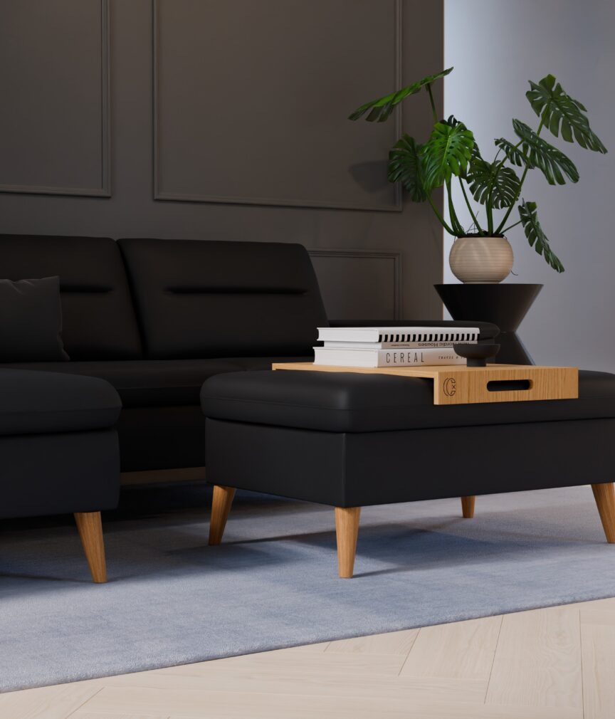 Vegan Leder –  S-Monet4500  Part27  Sofa Rio  detail.jpg