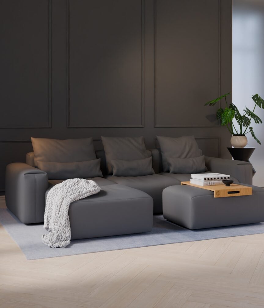 Vegan Leder –  S-Monet4503  Part27  Sofa Denver  overview.jpg