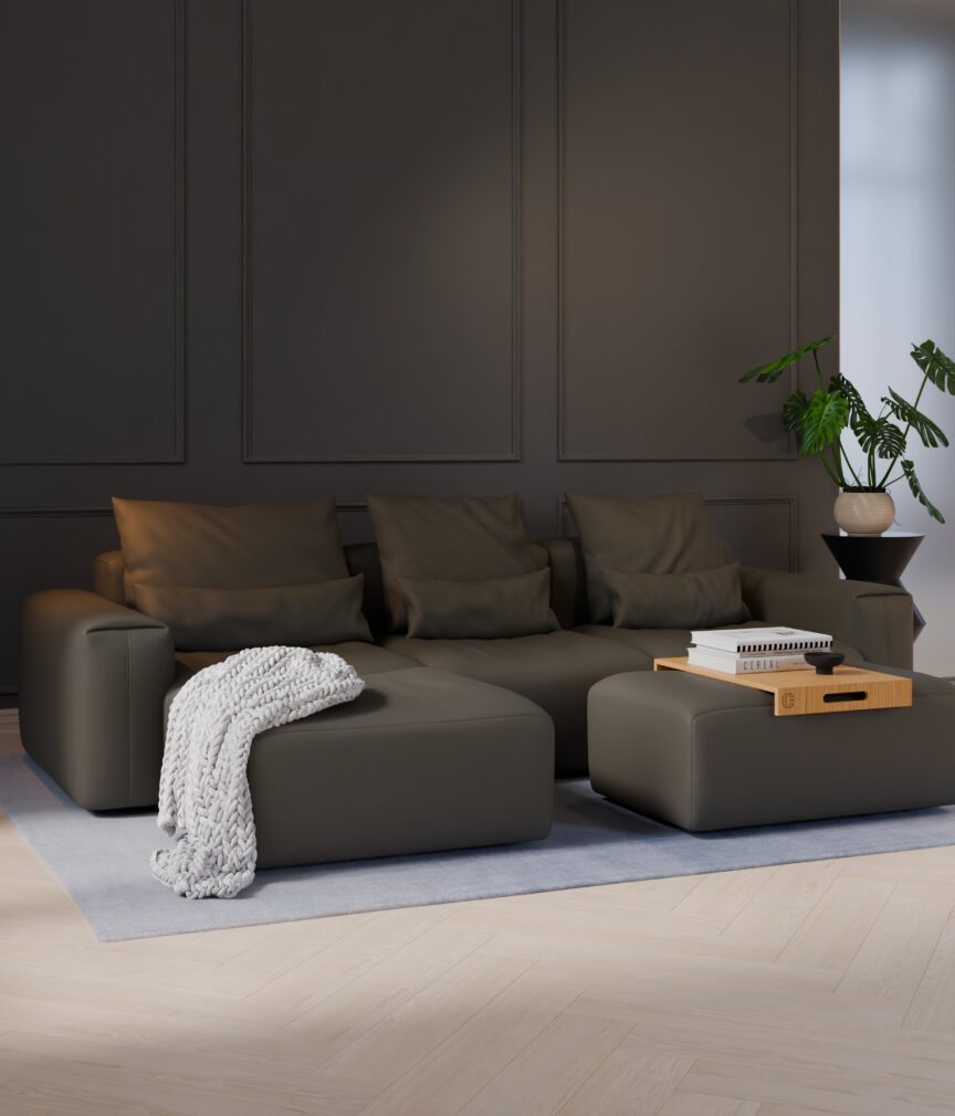 Vegan Leder –  S-Monet4504  Part27  Sofa Denver  overview.jpg