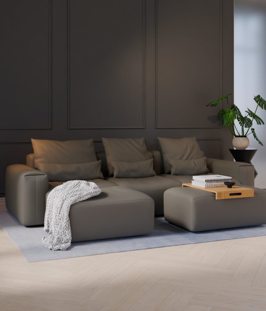 Vegan Leder –  S-Monet4505  Part27  Sofa Denver  overview.jpg
