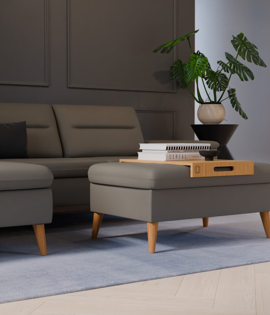 Vegan Leder –  S-Monet4505  Part27  Sofa Rio  detail.jpg