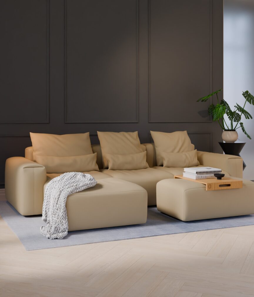 Vegan Leder –  S-Monet4507  Part27  Sofa Denver  overview.jpg