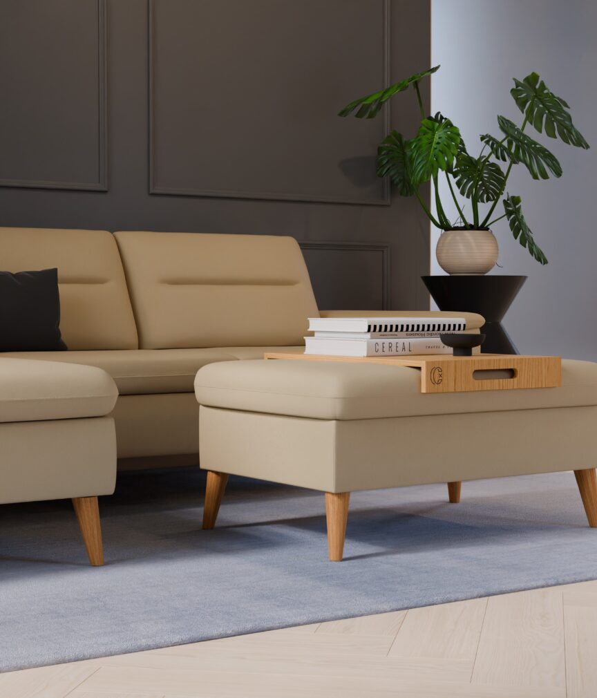 Vegan Leder –  S-Monet4507  Part27  Sofa Rio  detail.jpg