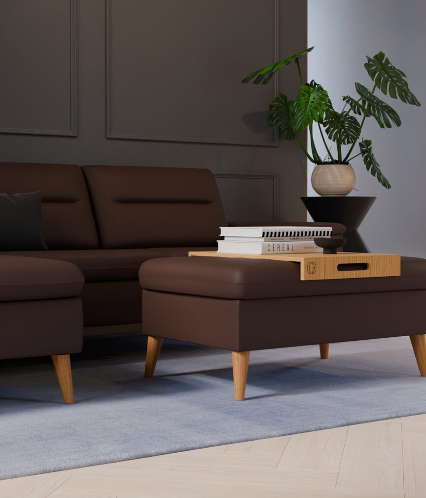 Vegan Leder –  S-Monet4508  Part27  Sofa Rio  detail.jpg