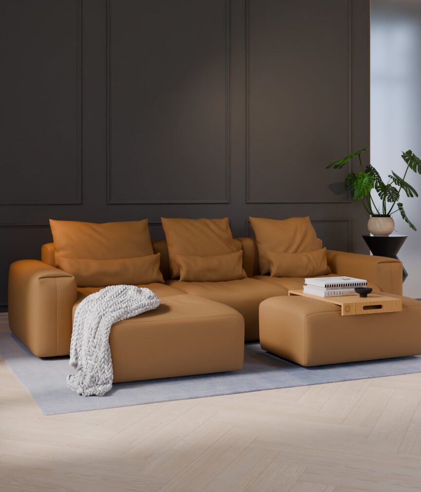 Vegan Leder –  S-Monet4509  Part27  Sofa Denver  overview.jpg