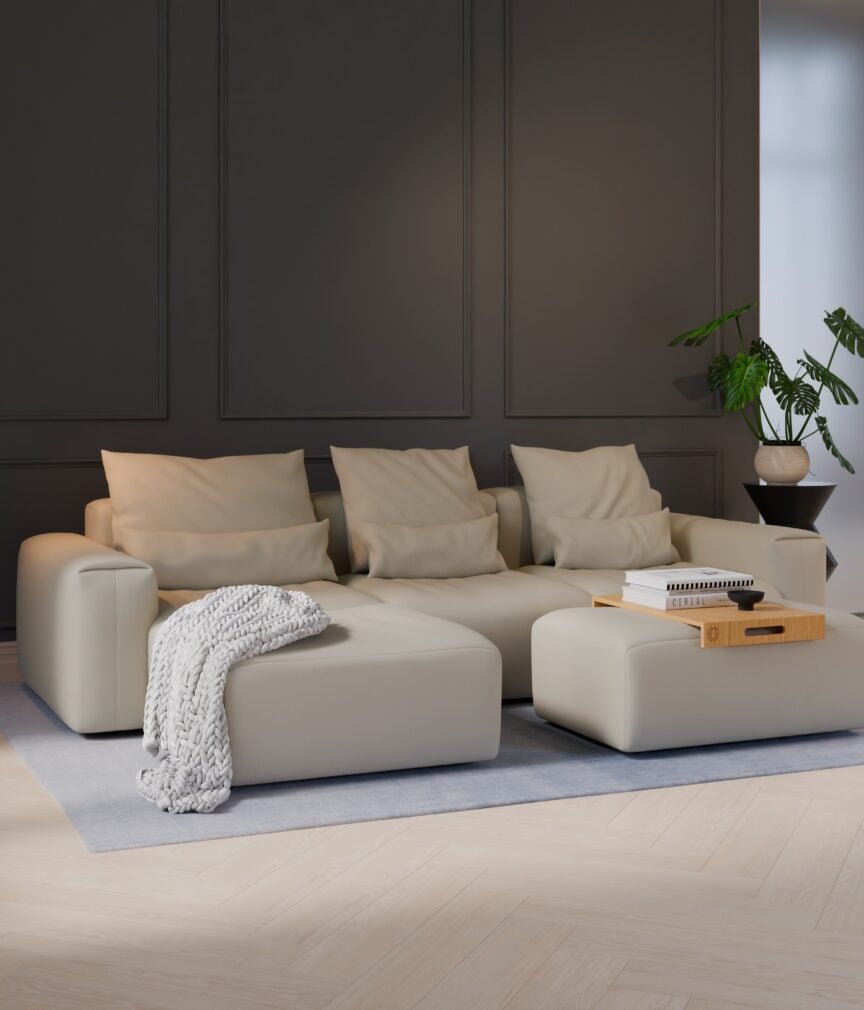 Vegan Leder –  S-Monet4512  Part27  Sofa Denver  overview.jpg