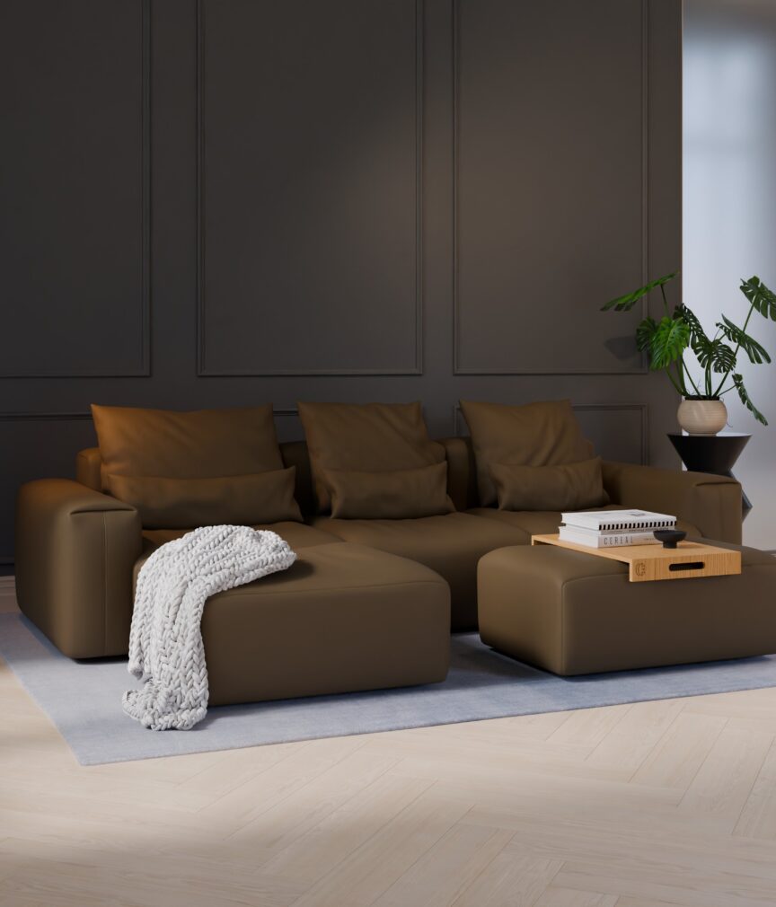 Vegan Leder –  S-Monet4513  Part27  Sofa Denver  overview.jpg