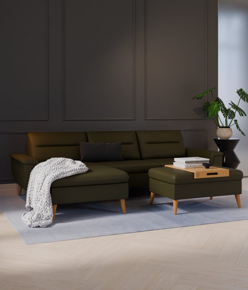 Vegan Leder –  S-Monet4515  Part27  Sofa Rio  overview.jpg