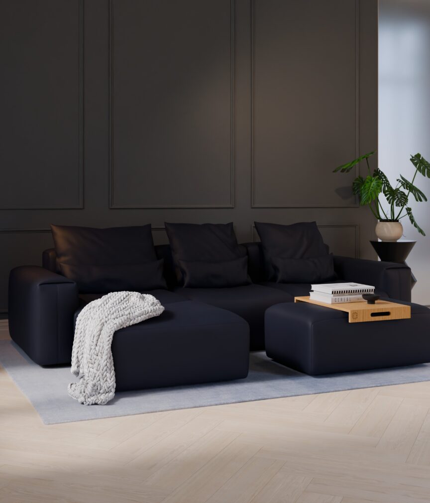 Vegan Leder –  S-Monet4516  Part27  Sofa Denver  overview.jpg