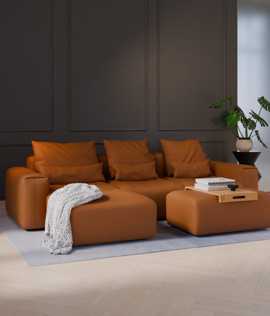 Vegan Leder –  S-Monet4518  Part27  Sofa Denver  overview.jpg