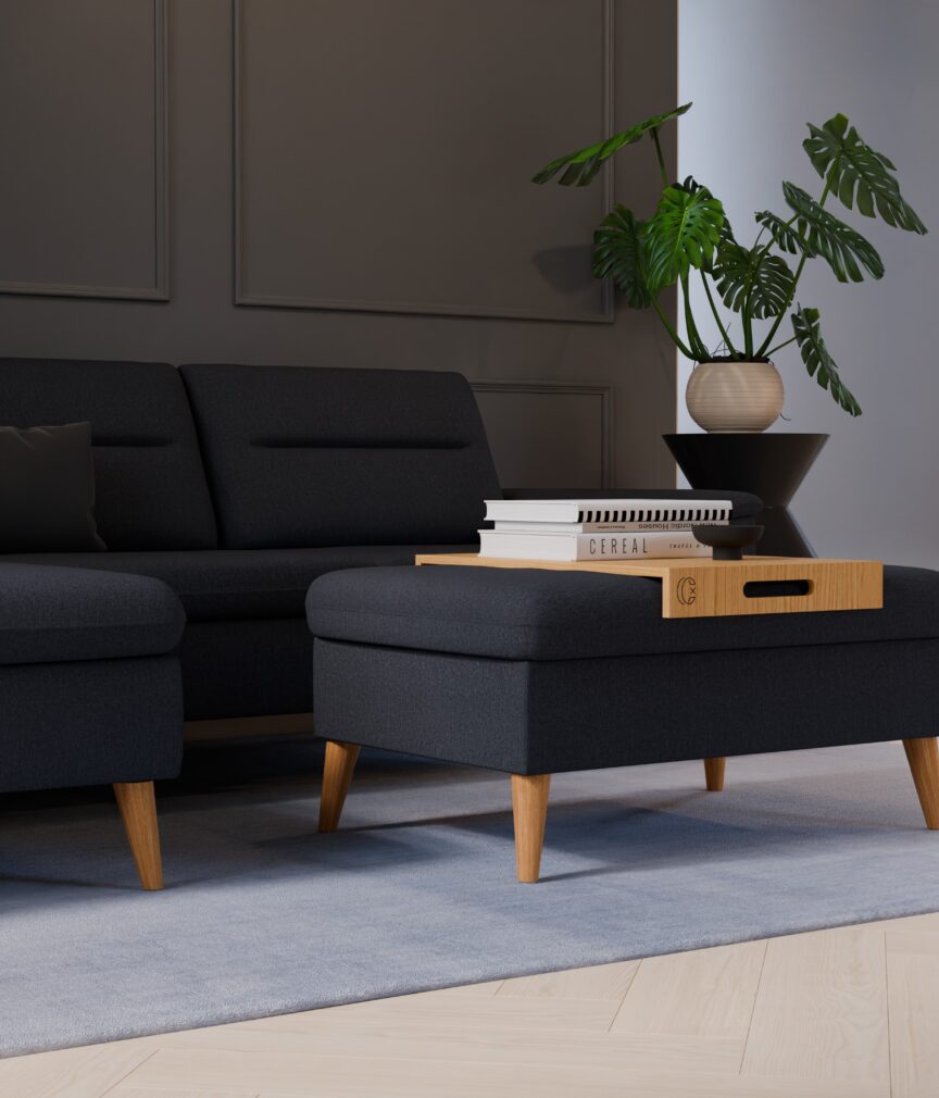 Feiner Mikrofaserstoff –  S-TBS19  Part27  Sofa Rio  detail.jpg