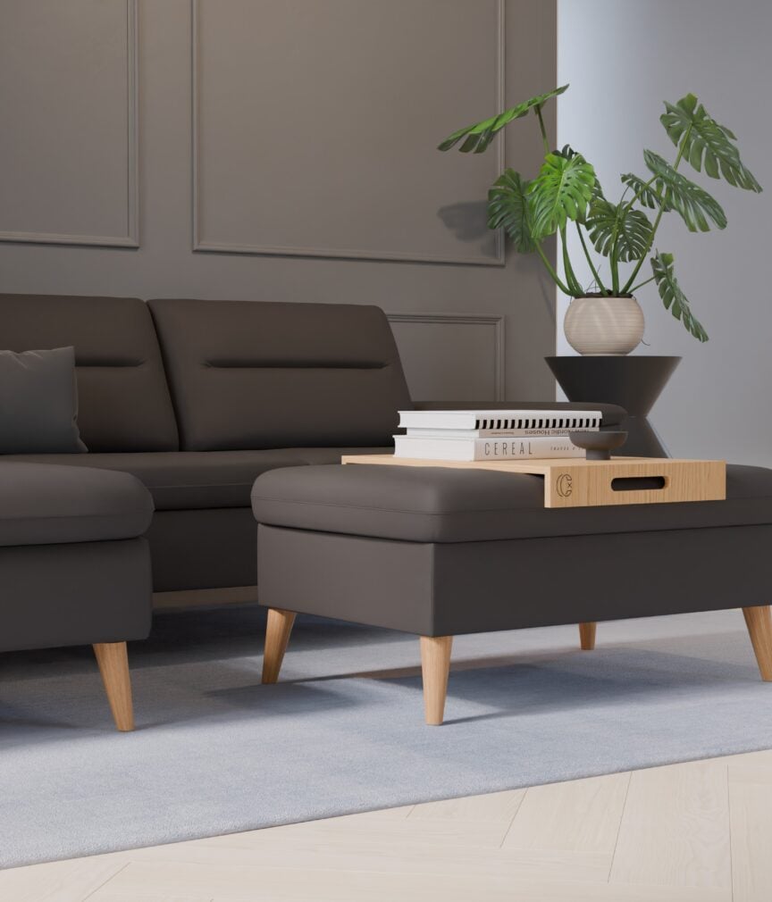 Leder Selene –  L-PunchAnthrazit  Part27  Sofa Rio  detail.jpg
