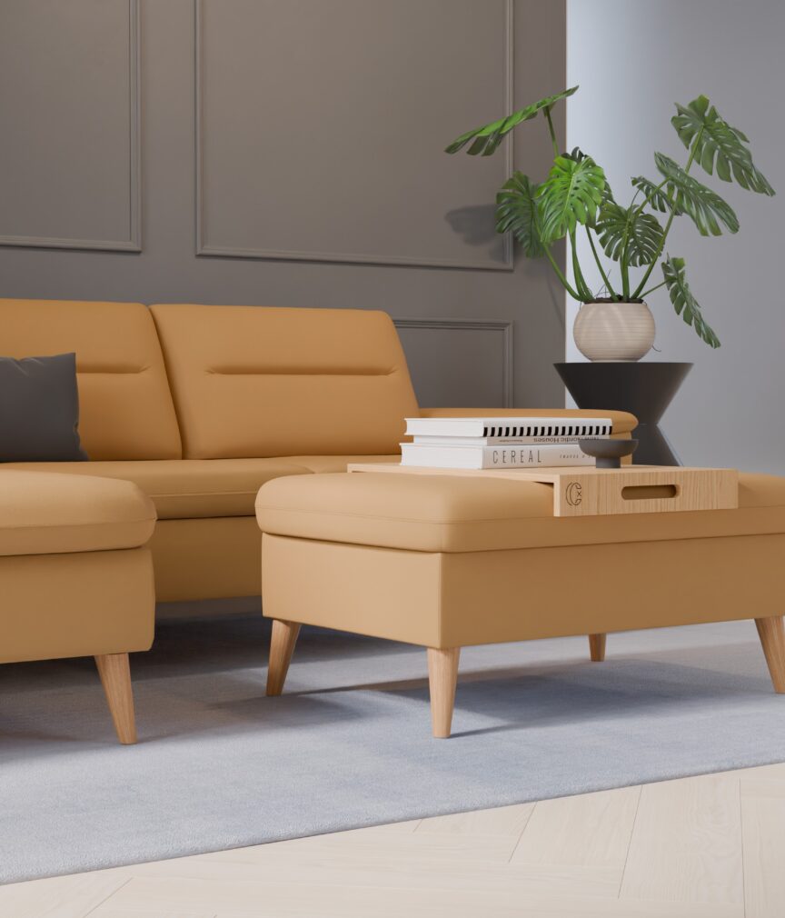 Leder Selene –  L-PunchDijon  Part27  Sofa Rio  detail.jpg
