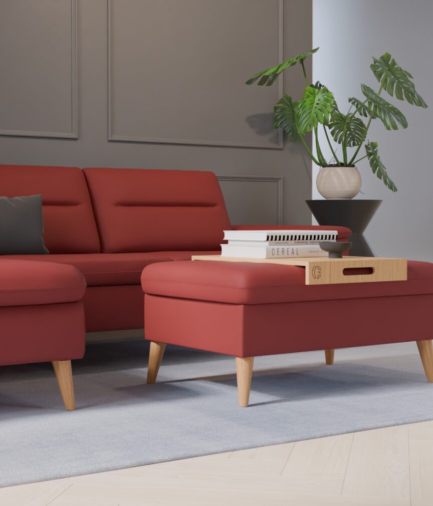 Leder Selene –  L-PunchFeuerrot  Part27  Sofa Rio  detail.jpg