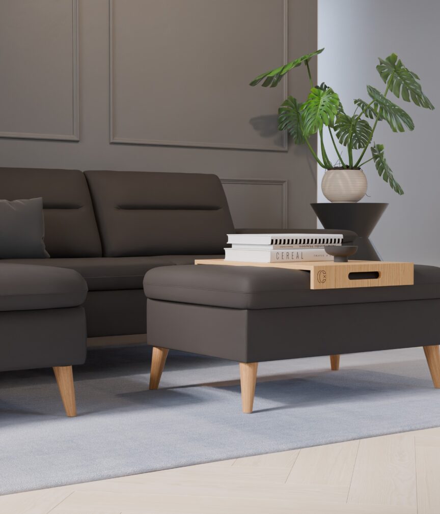 Leder Selene –  L-PunchMocca  Part27  Sofa Rio  detail.jpg