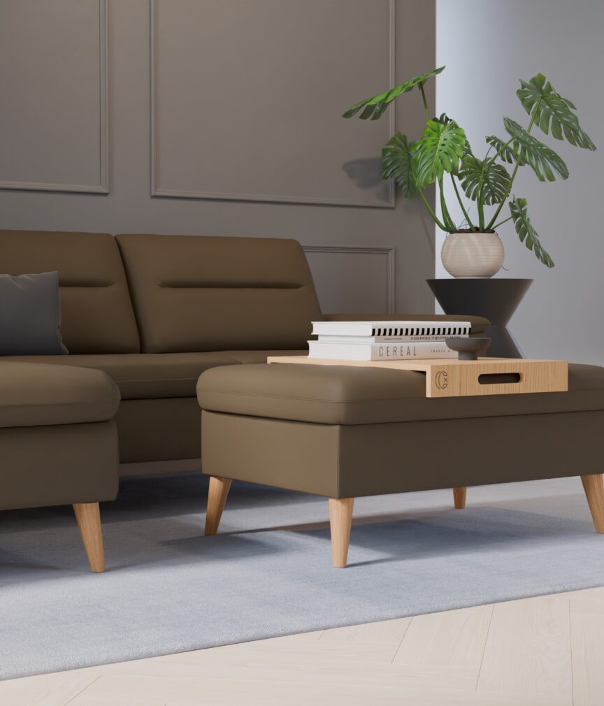 Leder Selene –  L-PunchOlive  Part27  Sofa Rio  detail.jpg