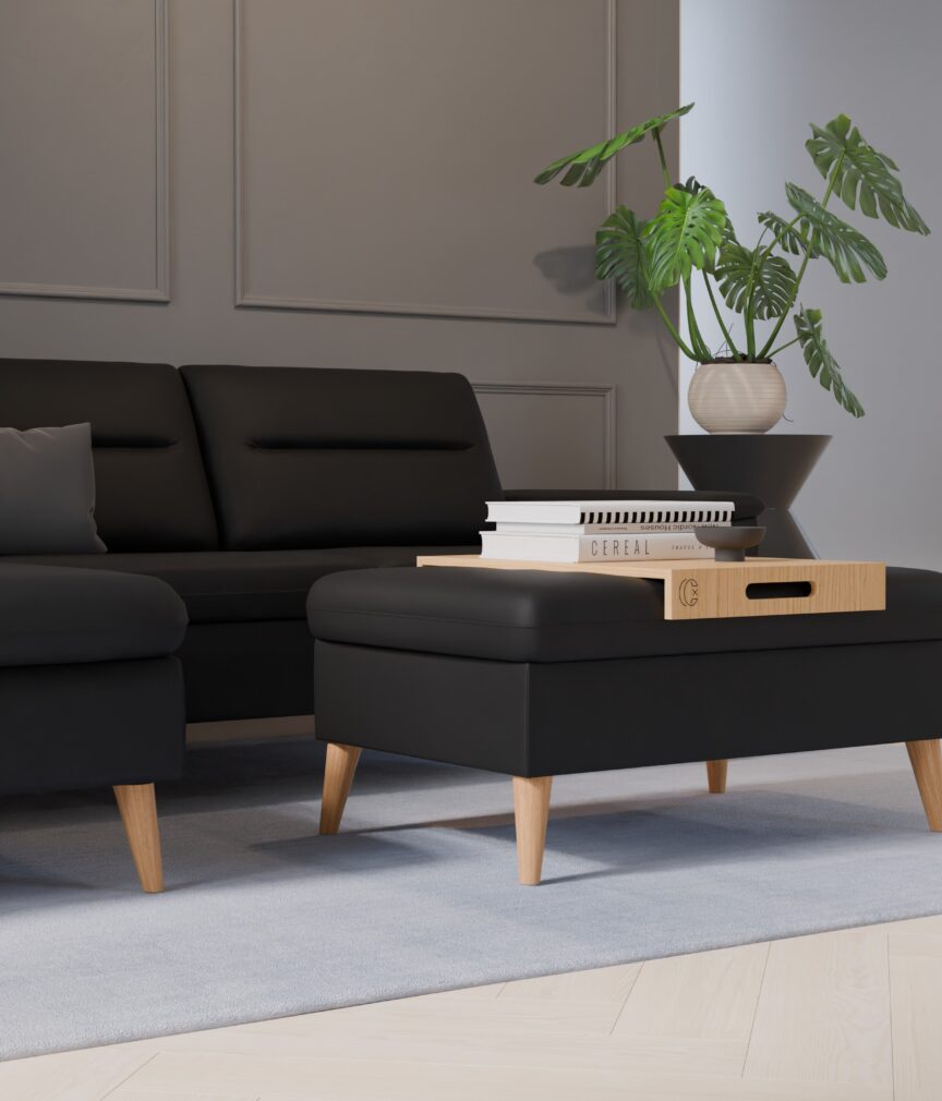 Leder Selene –  L-PunchSchwarz  Part27  Sofa Rio  detail.jpg