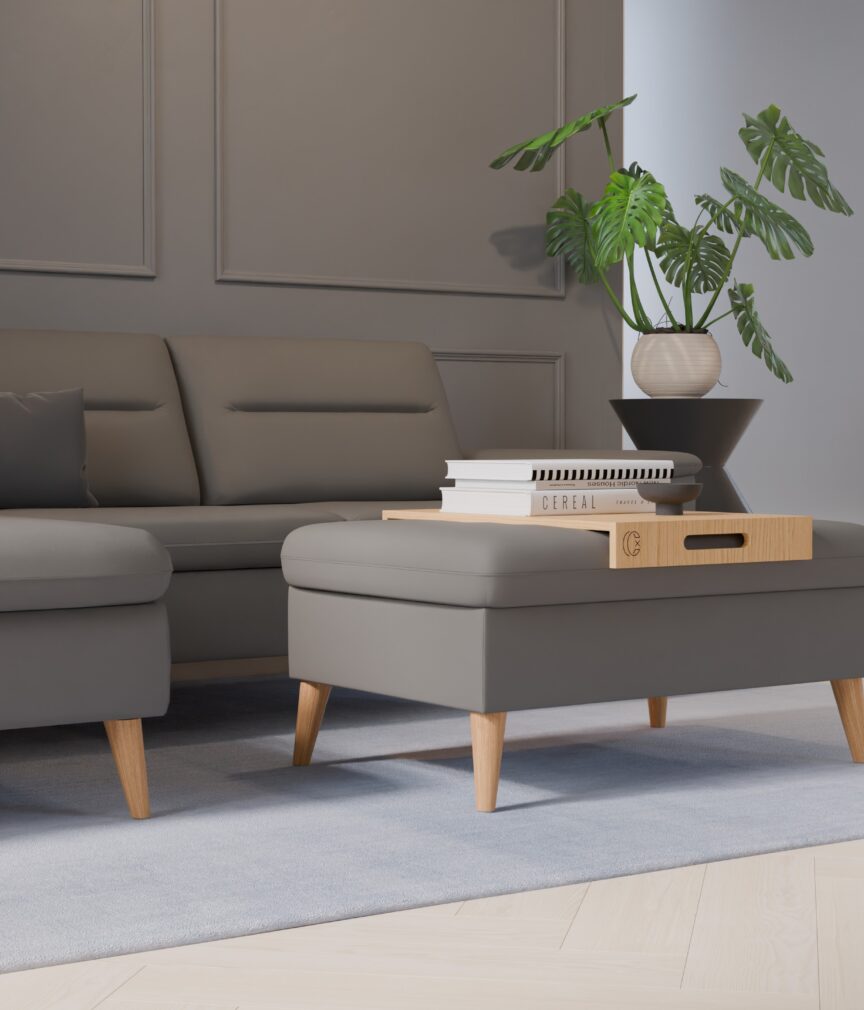Leder Selene –  L-PunchSteingrau  Part27  Sofa Rio  detail.jpg