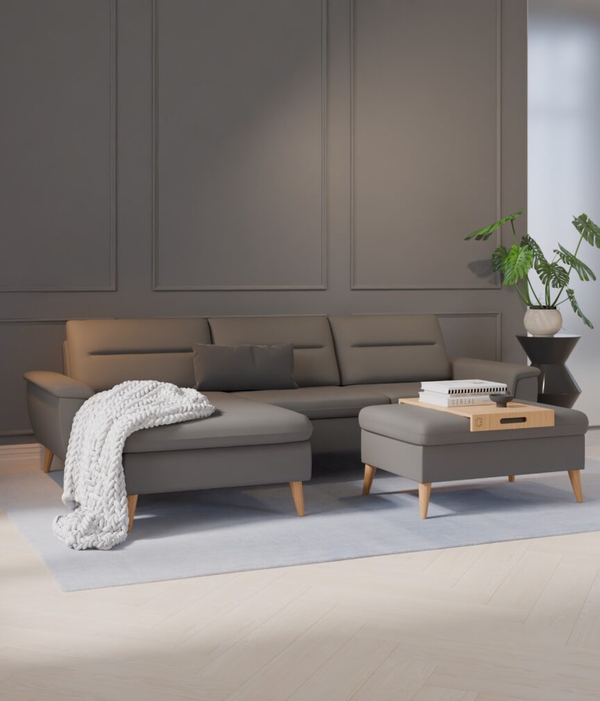 Leder Selene –  L-PunchSteingrau  Part27  Sofa Rio  overview.jpg