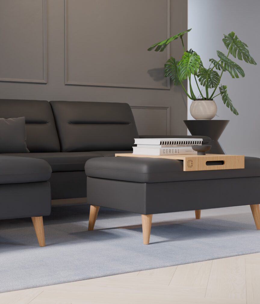 Vegan Leder –  S-Monet4500  Part27  Sofa Rio  detail.jpg