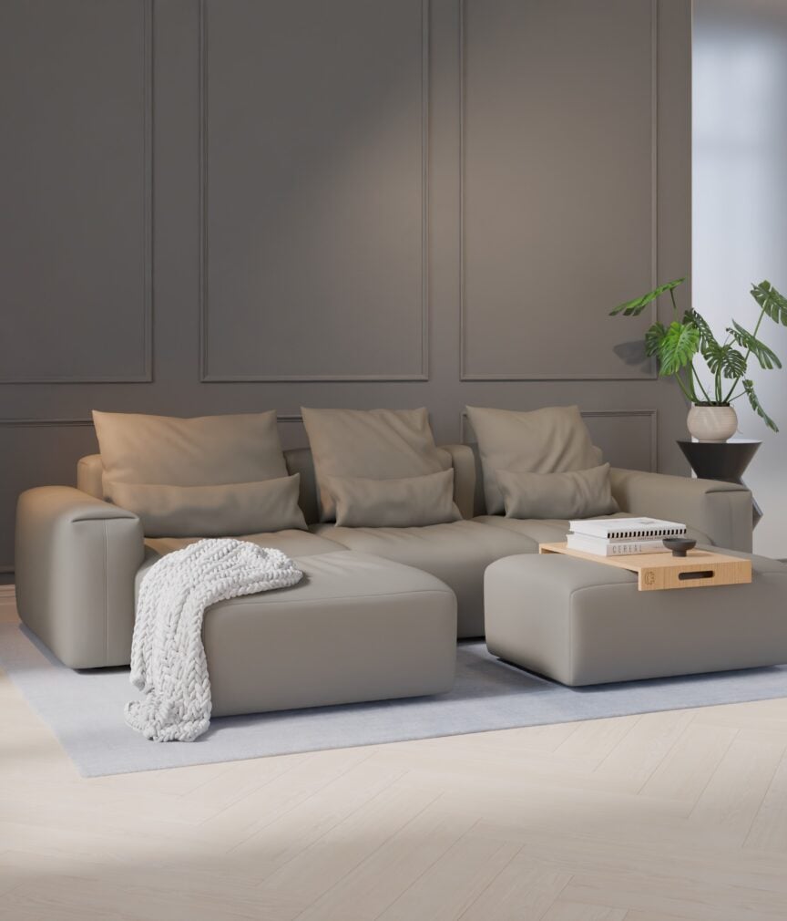 Vegan Leder –  S-Monet4505  Part27  Sofa Denver  overview.jpg