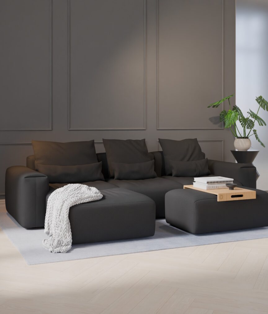 Feiner Mikrofaserstoff –  S-TBS10  Part27  Sofa Denver  overview.jpg